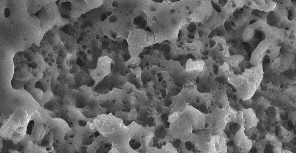 Biosyn-D_a