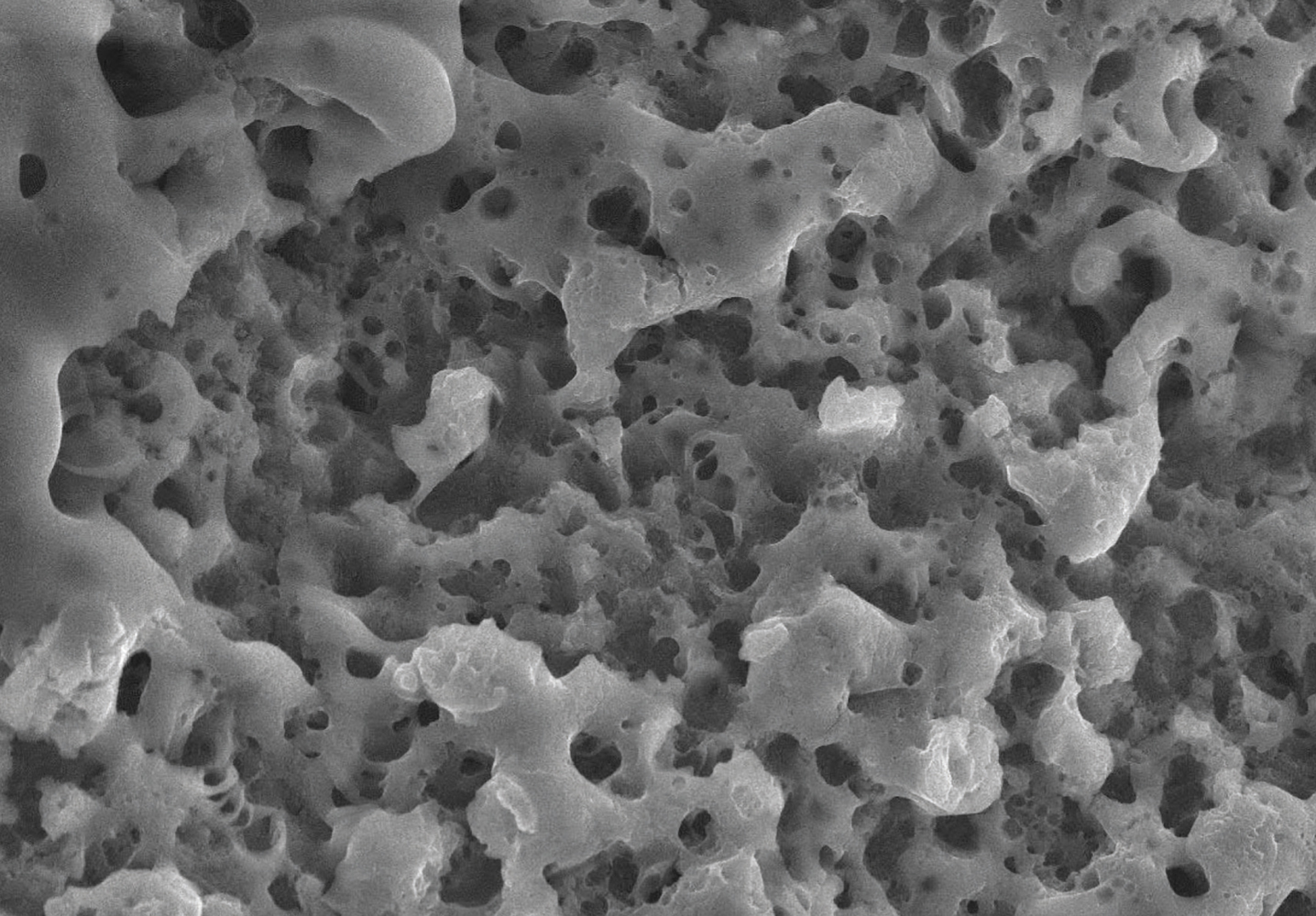 Biosyn-D microscope detail